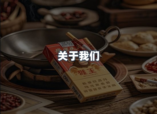 专业团队